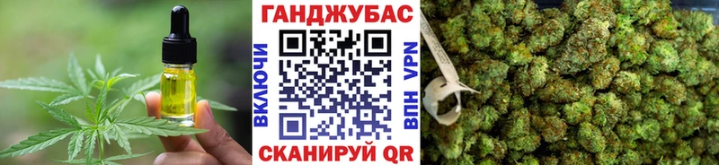 Cannafood конопля магазин продажи наркотиков hydra Касли