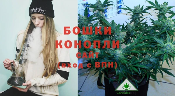 дмт Верея