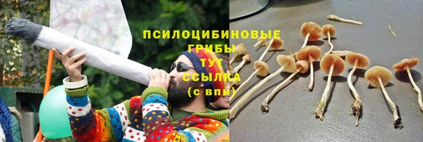 дмт Верея