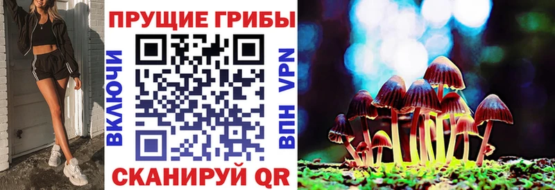 Псилоцибиновые грибы GOLDEN TEACHER  Касли 